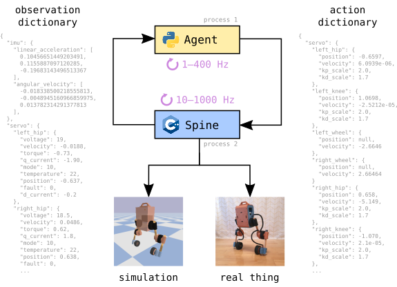 Action-observation loop